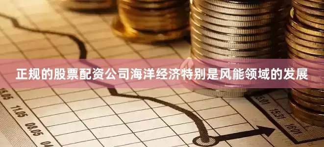 正规的股票配资公司海洋经济特别是风能领域的发展