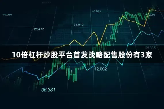 10倍杠杆炒股平台首发战略配售股份有3家