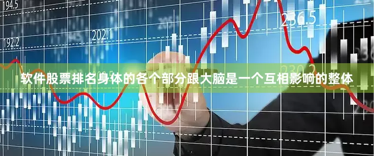 软件股票排名身体的各个部分跟大脑是一个互相影响的整体