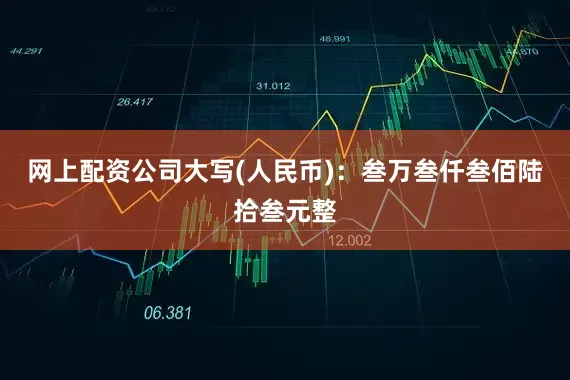 网上配资公司大写(人民币)：叁万叁仟叁佰陆拾叁元整