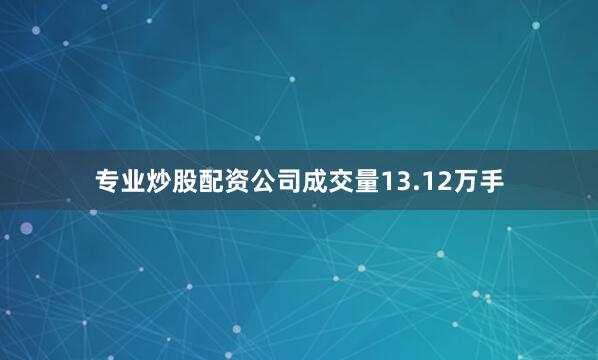专业炒股配资公司成交量13.12万手