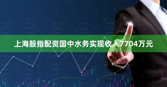 上海股指配资国中水务实现收入7704万元